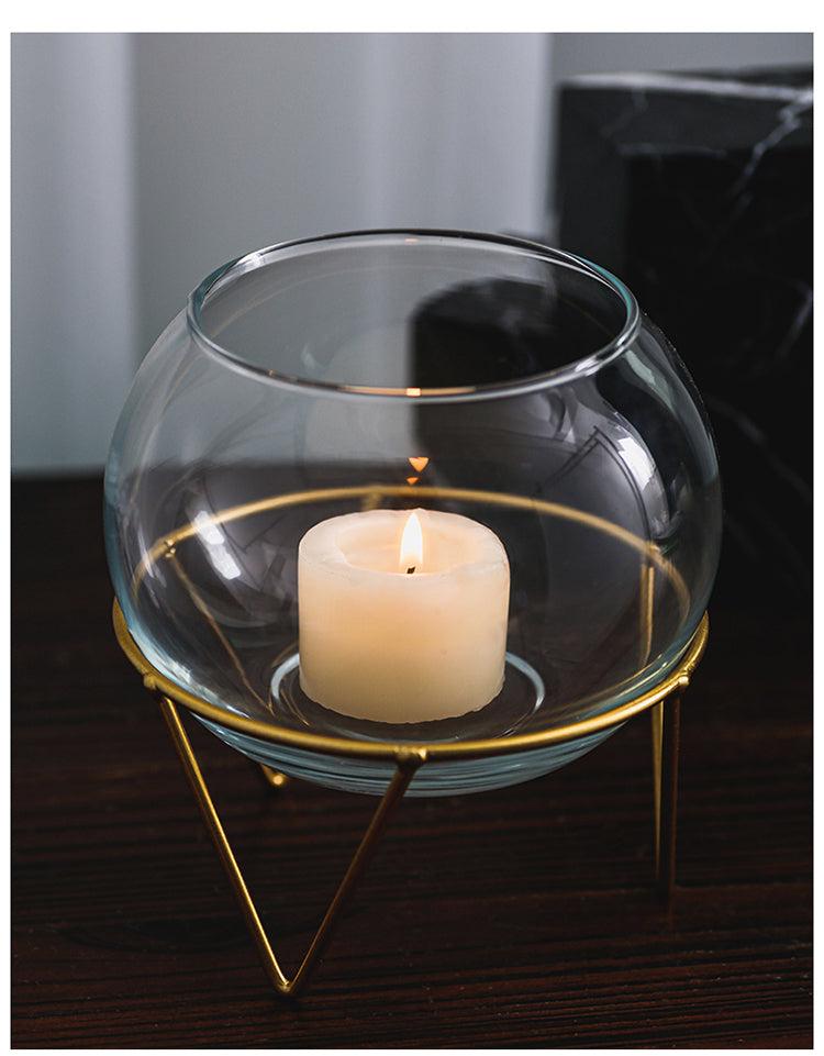 Mini Glass Hydroponic Plant Vase for Home Decor