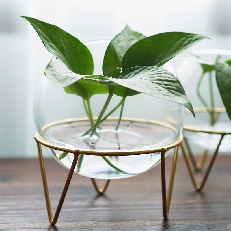 Mini Glass Hydroponic Plant Vase for Home Decor