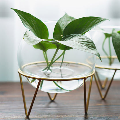 Mini Glass Hydroponic Plant Vase for Home Decor
