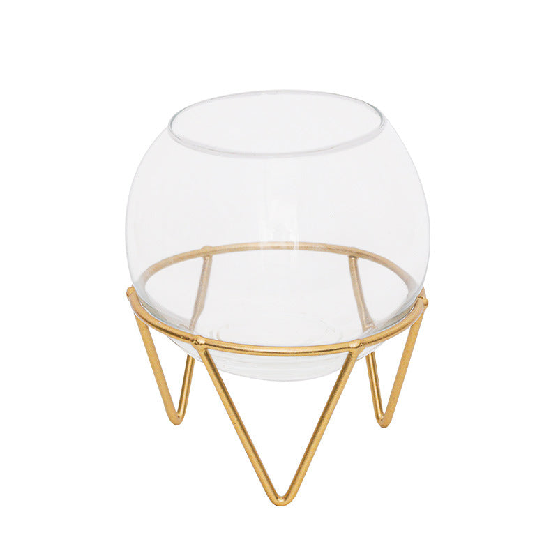 Mini Glass Hydroponic Plant Vase for Home Decor