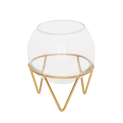 Mini Glass Hydroponic Plant Vase for Home Decor