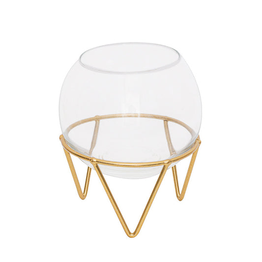 Mini Glass Hydroponic Plant Vase for Home Decor