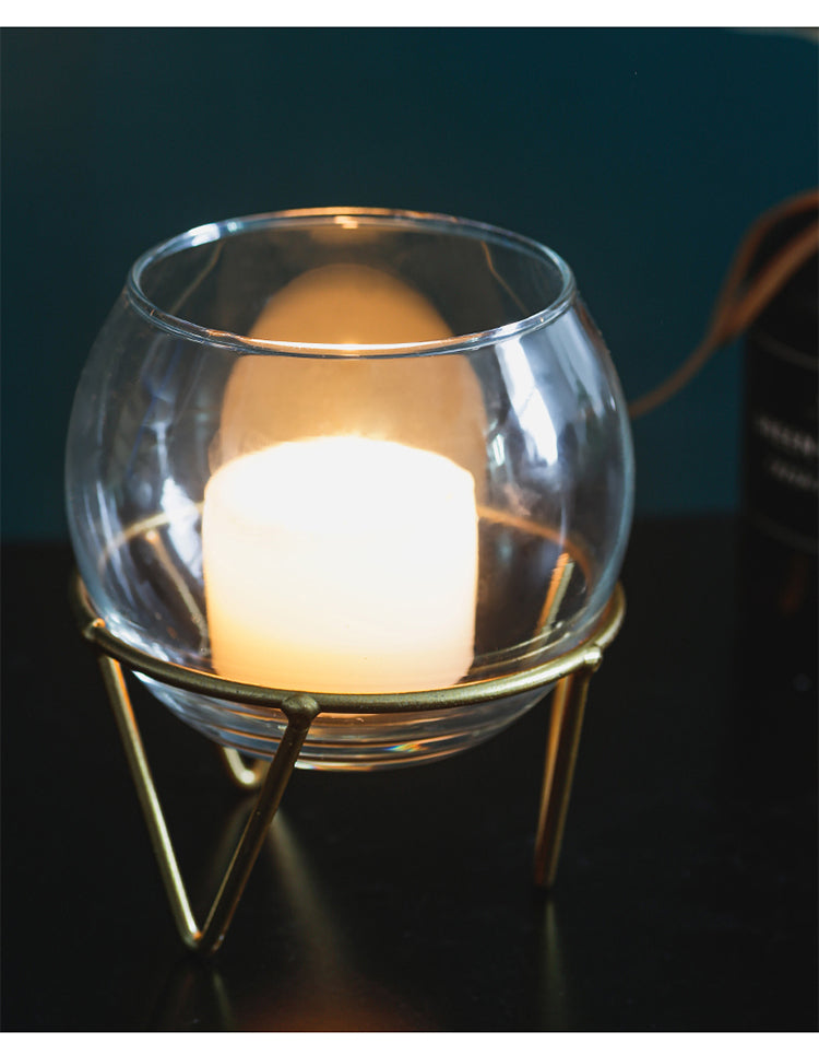 Mini Glass Hydroponic Plant Vase for Home Decor