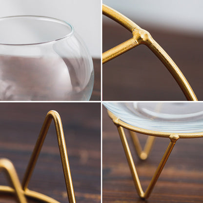 Mini Glass Hydroponic Plant Vase for Home Decor