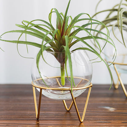 Mini Glass Hydroponic Plant Vase for Home Decor